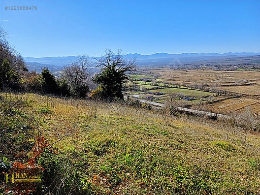 Sinop Merkez Mertoğlu Satılık Tarla #1223608476