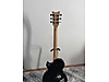 Schecter Elektro Gitar