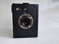 İngiliz Corenet Rex