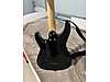 Schecter Elektro Gitar