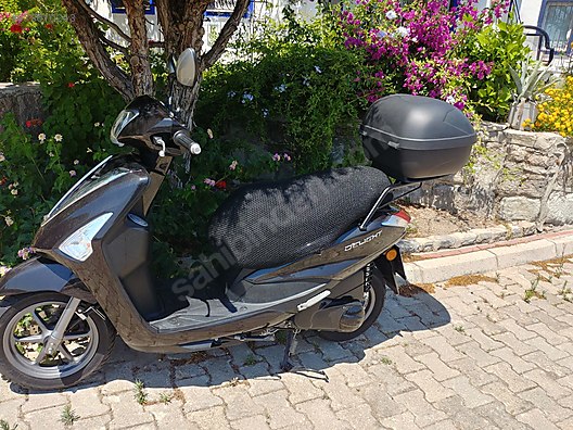 yamaha d elight 4000 km de hatasiz lastikler sifir at sahibinden com 978610243