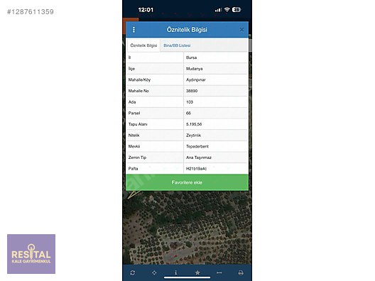 BURSA / MUDANYA / AYDINPINAR 5195 M2 SATILIK ZEYTİNLİK