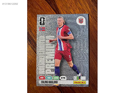 panini premium erling haaland ve gregor kobel kartı on sahibinden