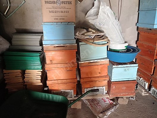 Hayvanlar Alemi / Aksesuarlar / Böcekler / Kovan & Yuva