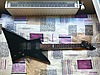 LTD Elektro Gitar