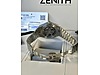 Used & Brand New Items / Watches & Clocks / Watches / Zenith