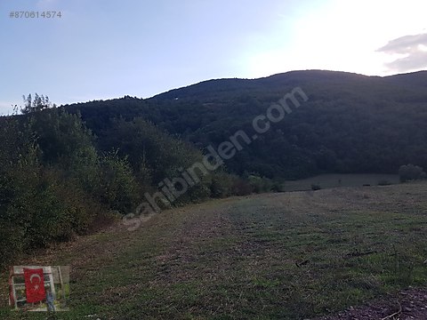 gebze cuma koyde satilik tarla 19500 m2 satilik arsa ilanlari sahibinden com da 870614574