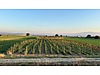 YENİŞEHİR HAVALİMANINA ÇOK YAKIN RESMİ YOLA CEPHE 9375 m2 ARAZİ