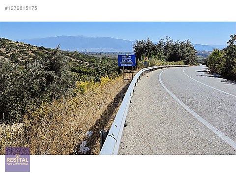 ÇAĞLAYANDA GÜNDOĞDU ASFALTI ÜZERİ 8443 M² BAĞ VE ZEYTİNLİK