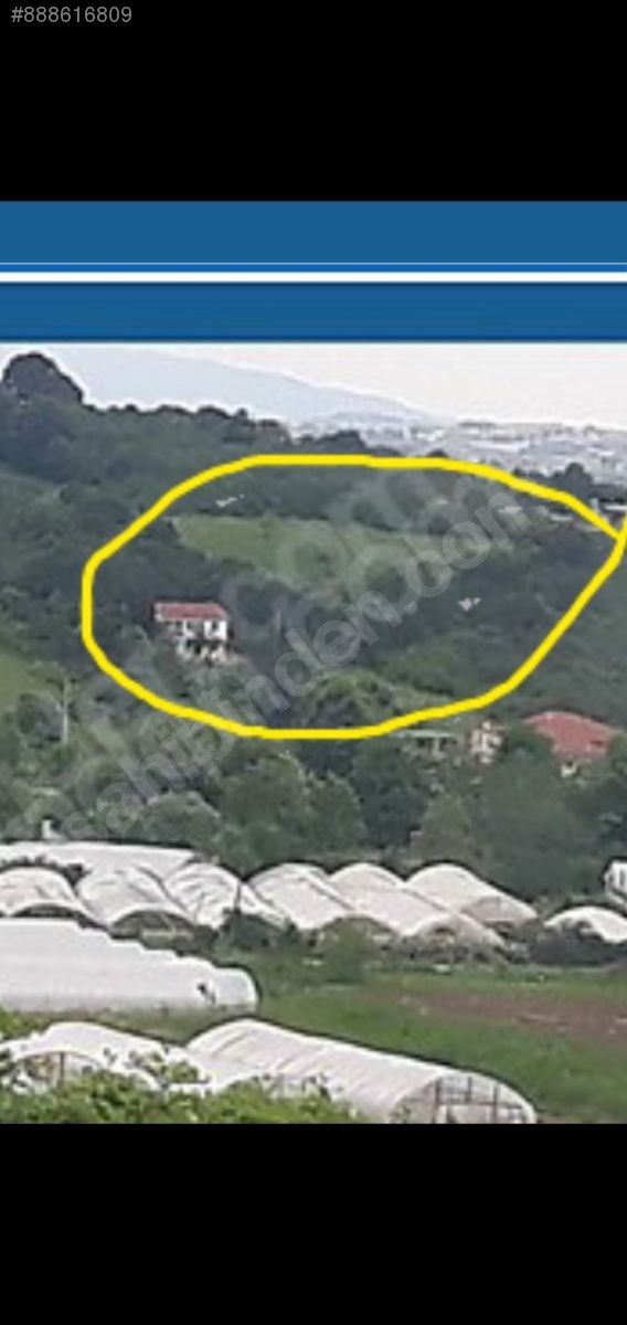 YALOVA MERKEZDE MÜSTAKİL EV İÇİN İMARLI ARSA Satılık Arsa İlanları