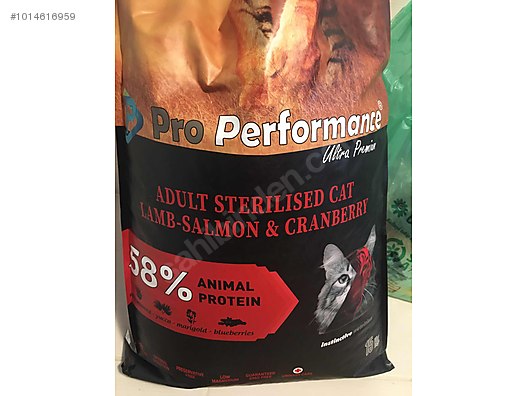 Performance cat food pro Proformance Super