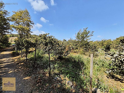 TAFLANDA 3 KATA İMARLI SATILIK ARSA