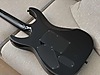 LTD Elektro Gitar