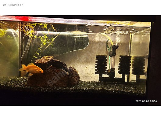廃盤 CD BRONZE ブロンズ AQUARIUM アクアリウム Sıfır 25 - 50 L Tüm Set Akvaryum - sıfır hazır kurulmuş akvaryum