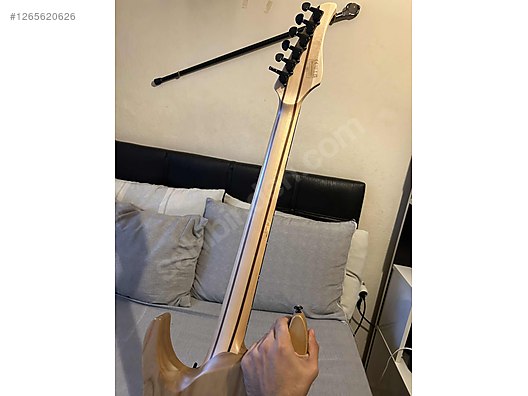 Schecter Elektro Gitar