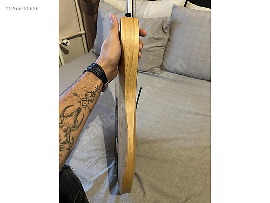 Schecter Elektro Gitar