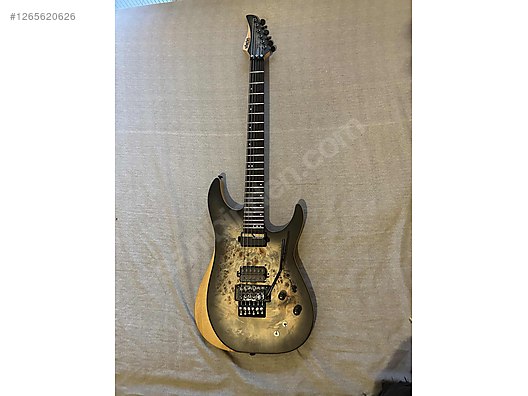 Schecter Elektro Gitar