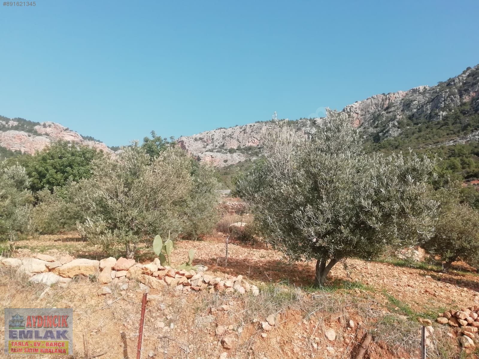 AYDINCIK EMLAKTAN SATILIK TARLA(1832m2) Satılık Arsa İlanları