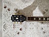 Epiphone Elektro Gitar
