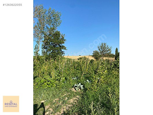 Vezirköprü Kaylar Mevkii'nde Satılık Bahçe Arazisi