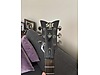 Schecter Elektro Gitar