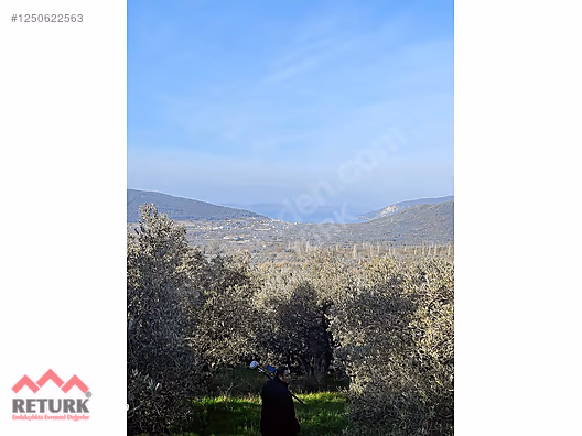 Erdek te KDV li Deniz Manzaralı ARAÇ TAKASINA UYGUN 4670 m2 Zeyt #1250622563