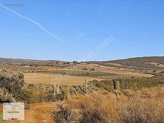 İBRAHİM ÖZLÜ GAYRİMENKULDEN KARACABEY DOĞLA DA HESAPLI 6650 M2 #1264622573