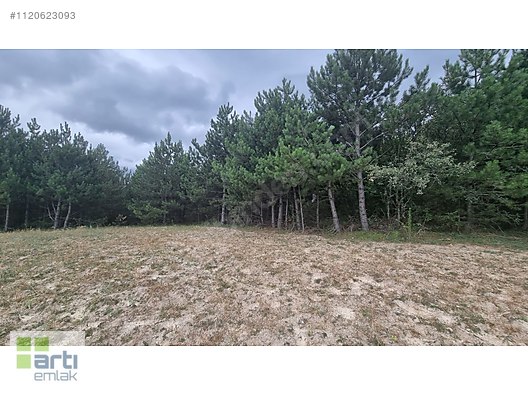 MUHTEŞEM MANZARALI SATILIK LAVANTA BAHÇESİ #1120623093