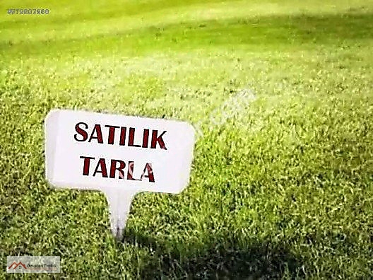 menderes bulgurca da 2500 m2 hisseli acil satilik tarla satilik arsa ilanlari sahibinden com da 979623816 menderes bulgurca da 2500 m2 hisseli acil satilik tarla satilik arsa ilanlari sahibinden com da 979623816
