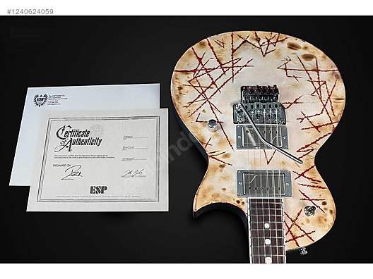 ESP Elektro Gitar - 1240624059