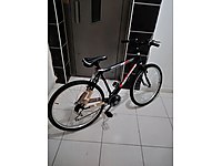 26 jant Salcano excell bisiklet #1125627659