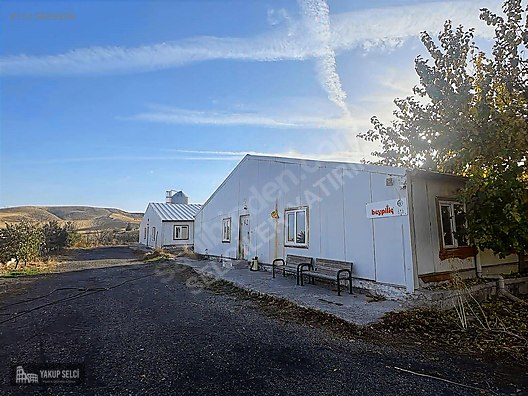 SELCİLER YATIRIM'DAN SATILIK FULL DONANIM TAVUK ÇİFTLİĞİ #1215629809