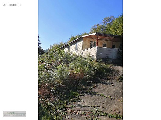 Giresun Teyyareduzu Mah De Sahibinden Kiralik 3 1 Daire Ilanburada Com Ilan Sitesi