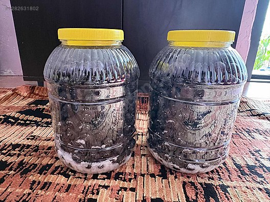 İkinci El ve Sıfır Alışveriş / Yiyecek & İçecek / Şarküteri / Zeytin