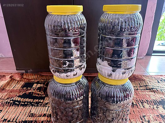 İkinci El ve Sıfır Alışveriş / Yiyecek & İçecek / Şarküteri / Zeytin