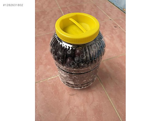 İkinci El ve Sıfır Alışveriş / Yiyecek & İçecek / Şarküteri / Zeytin