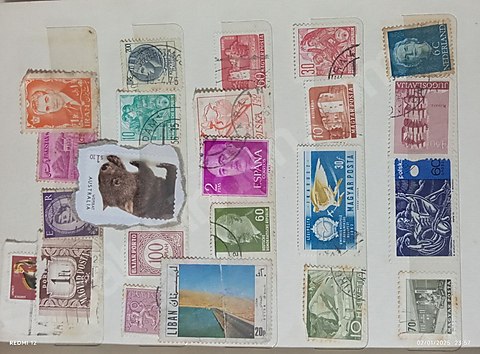 Kolleksiyonluk pullar