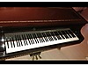 SAMICK kuyruklu piyano eşsiz - Piyano ve Tuşlu Çalgılar sahibinden.com'da