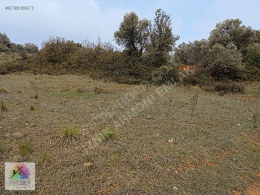 kacirilmiycak yer iznik tacir 8000m yatirimlik arazi satilik arsa ilanlari sahibinden com da 978636971