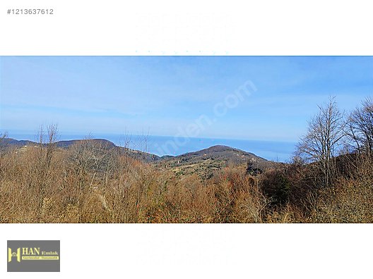 Sinop Ayancık Satılık Deniz Manzaralı 10 Dönüm Tarla #1213637612