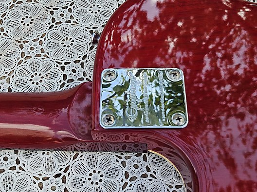 Epiphone Elektro Gitar