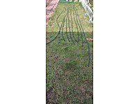 Damlama sulama hortumu