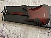 Schecter Elektro Gitar