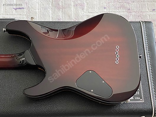 Schecter Elektro Gitar