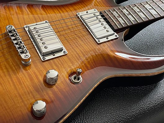 Schecter Elektro Gitar