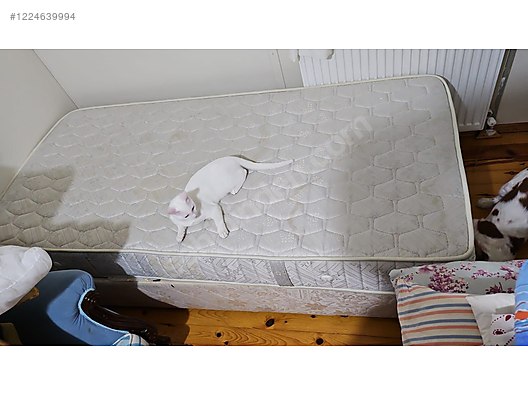 İkinci El ve Sıfır Alışveriş / Ev Dekorasyon / Toplu Satış