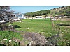 EZİNE YAVAŞLAR KÖYÜ'NDE 1755 m² İMARLI ARSA