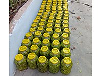 yeşil kırılmış zeytin 2 bidon