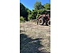 Machinery / Agricultural Machines / Tractors / Lamborghini