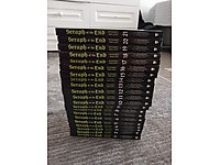 Seraph Of the End serisi 21 kitap